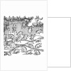 Rain of frogs recorded in 1355 by Anonymous