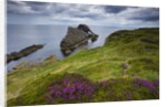 Bow Fiddle Rock, Portknockie, Scotland by Anonymous
