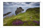 Bow Fiddle Rock, Portknockie, Scotland by Anonymous