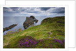 Bow Fiddle Rock, Portknockie, Scotland by Anonymous
