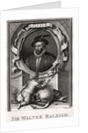 Sir Walter Raleigh by Anonymous