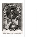Sir Walter Raleigh by Anonymous