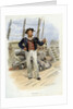 Royal Navy boatswain by Anonymous