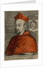 Cardinal Francesco Sforza by Anonymous