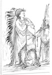 Two Crows by George Catlin