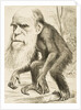 Caricature of Charles Darwin by Anonymous