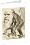 Caricature of Charles Darwin by Anonymous