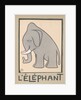 Elephant by Anonymous