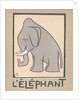 Elephant by Anonymous