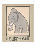 Elephant by Anonymous