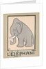 Elephant by Anonymous