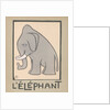Elephant by Anonymous