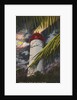 Lighthouse at night by Anonymous