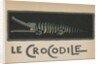 Crocodile with open mouth by Anonymous