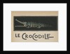 Crocodile with open mouth by Anonymous