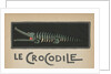 Crocodile with open mouth by Anonymous