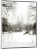 Central Park Snow by Anonymous