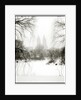 Central Park Snow by Anonymous