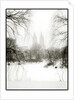Central Park Snow by Anonymous