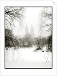 Central Park Snow by Anonymous
