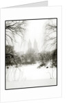 Central Park Snow by Anonymous