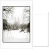 Central Park Snow by Anonymous