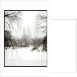 Central Park Snow by Anonymous
