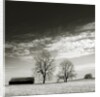 Newnan by Anonymous