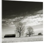 Newnan by Anonymous