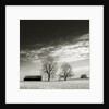 Newnan by Anonymous