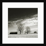 Newnan by Anonymous