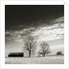 Newnan by Anonymous