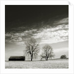 Newnan by Anonymous
