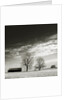 Newnan by Anonymous