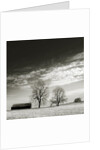 Newnan by Anonymous
