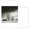 Newnan by Anonymous