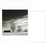 Newnan by Anonymous