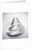 Pearl Trochus Shell by Anonymous