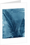 Sago Palm by Anonymous