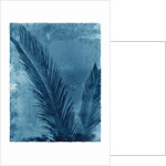 Sago Palm by Anonymous