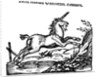 Unicorn by Anonymous