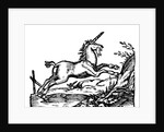Unicorn by Anonymous