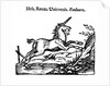 Unicorn by Anonymous
