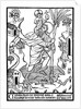 St Christopher carrying Christ across stream by Anonymous
