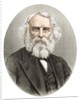 Henry Wadsworth Longfellow by Anonymous