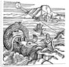 Jonah and the whale by Anonymous