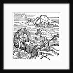 Jonah and the whale by Anonymous