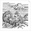 Jonah and the whale by Anonymous
