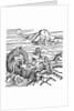 Jonah and the whale by Anonymous