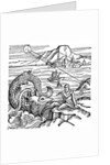 Jonah and the whale by Anonymous